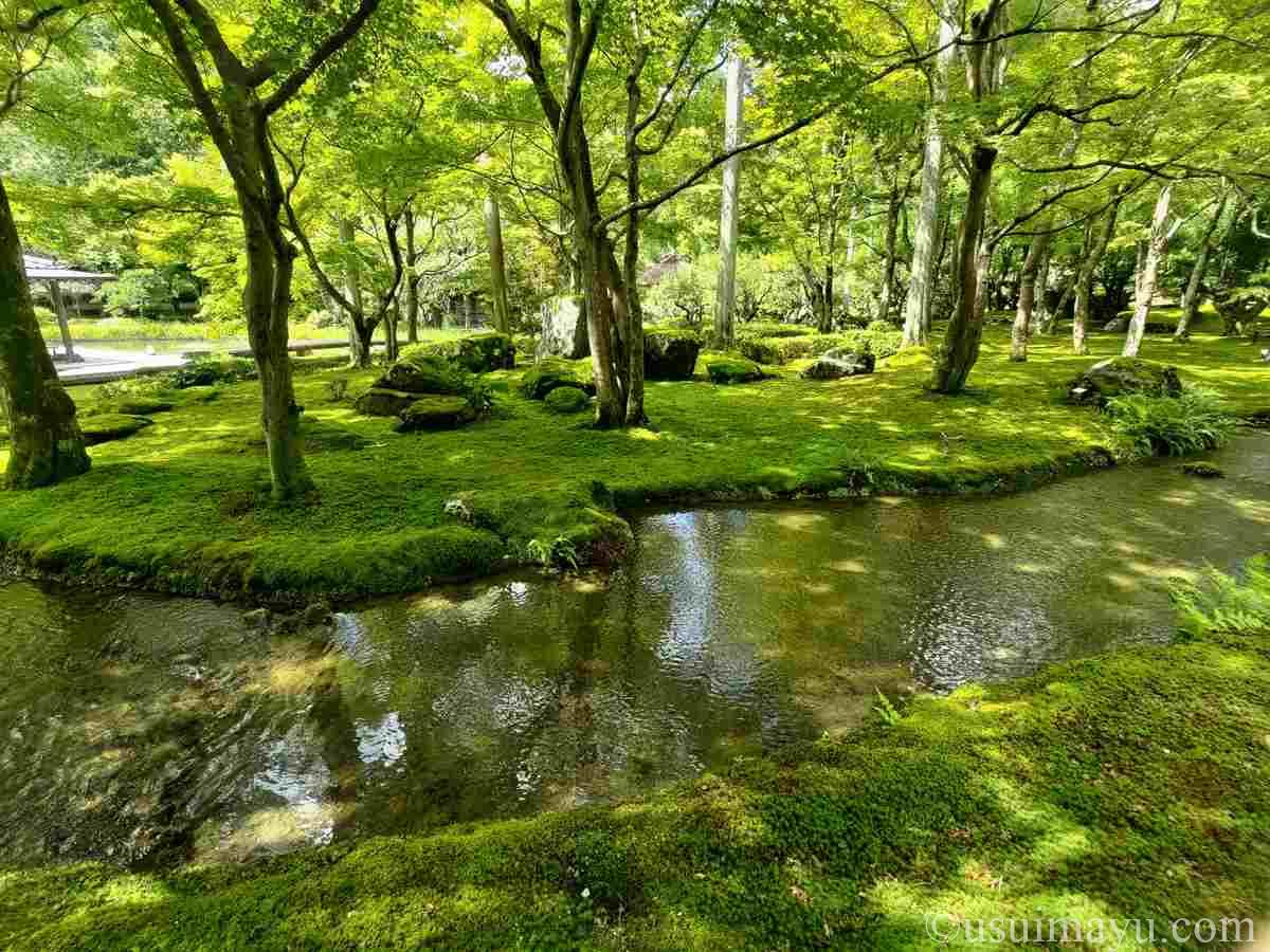 【しょうざんリゾート京都】日本庭園は紅葉の穴場スポット!秋にはライトアップも